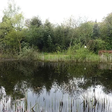Domek letniskowy In Dinther Heeswijk-Dinther